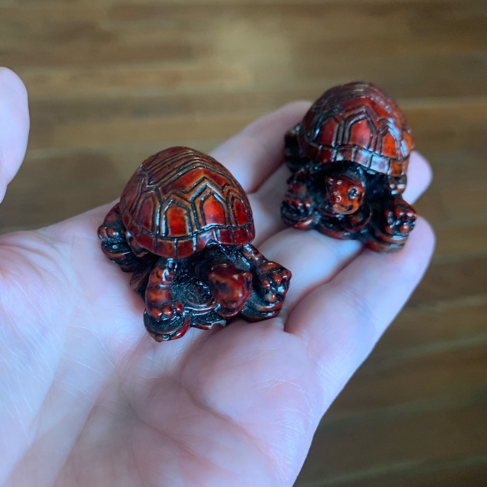 Red turtles 🐢 - Picture 2 of 5
